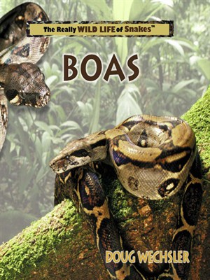 Boas by Doug Wechsler